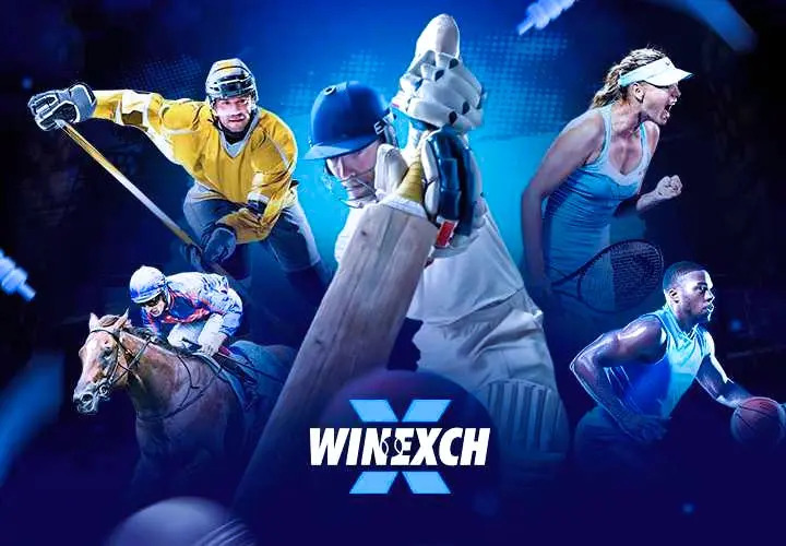 Winexch – Smart &amp; Secure Online Gaming Platform