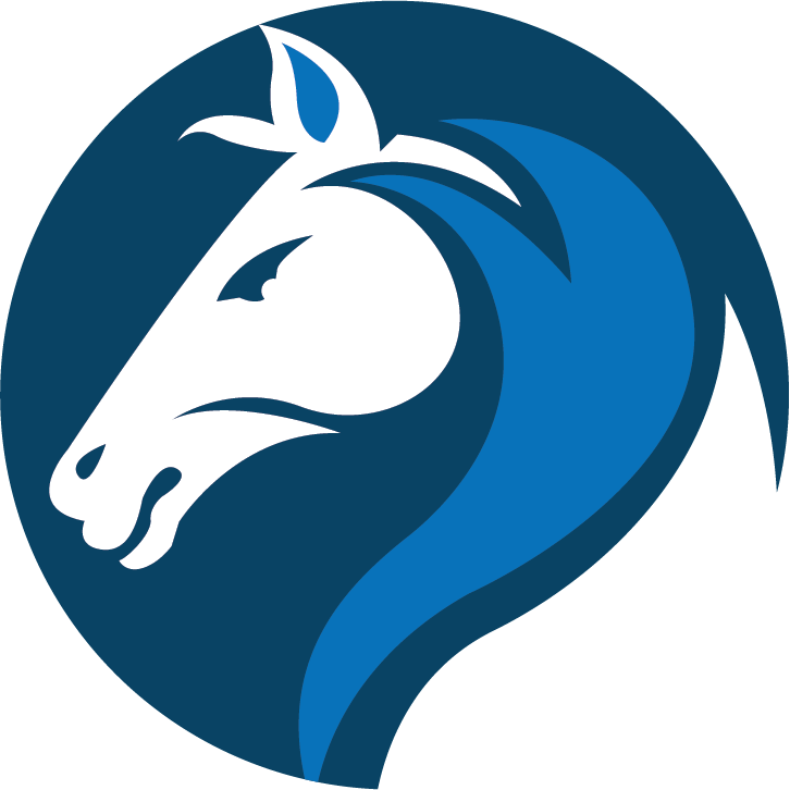Indian Seo Company