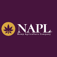 Niche Agriculture And Pharmaceuticals Limited